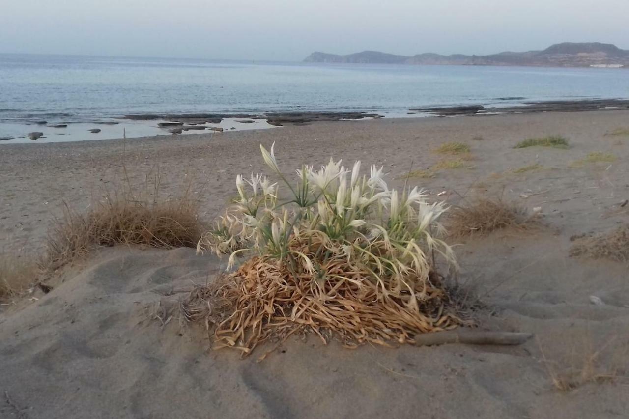 New Country House Salvia Sitia  Exterior foto