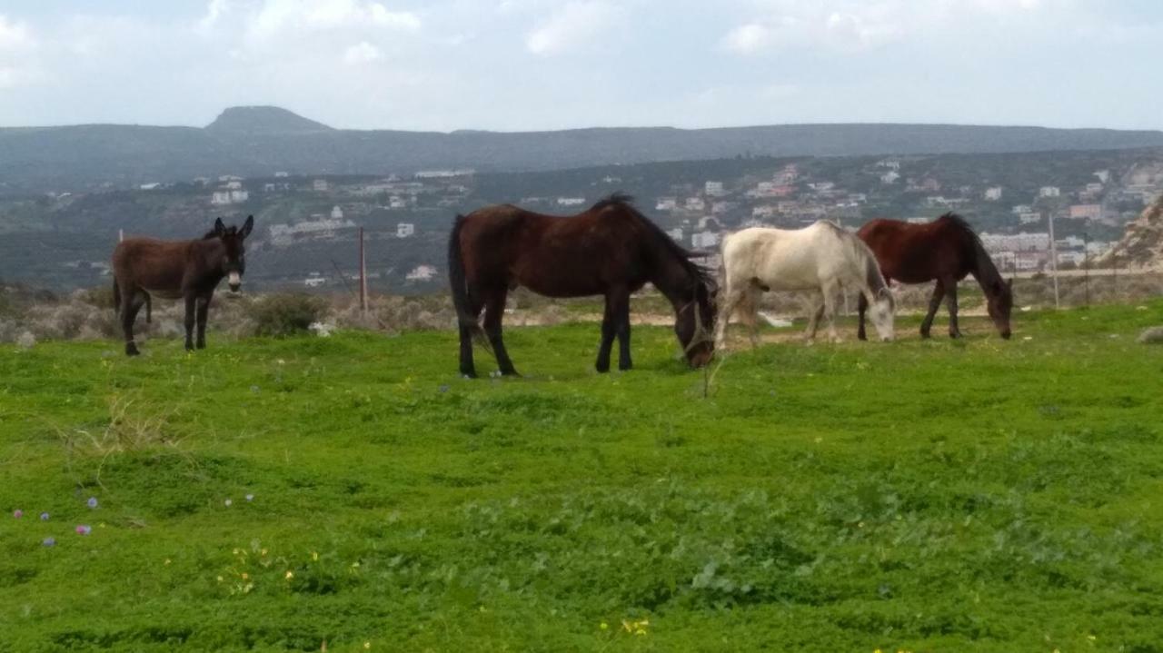 New Country House Salvia Sitia  Exterior foto